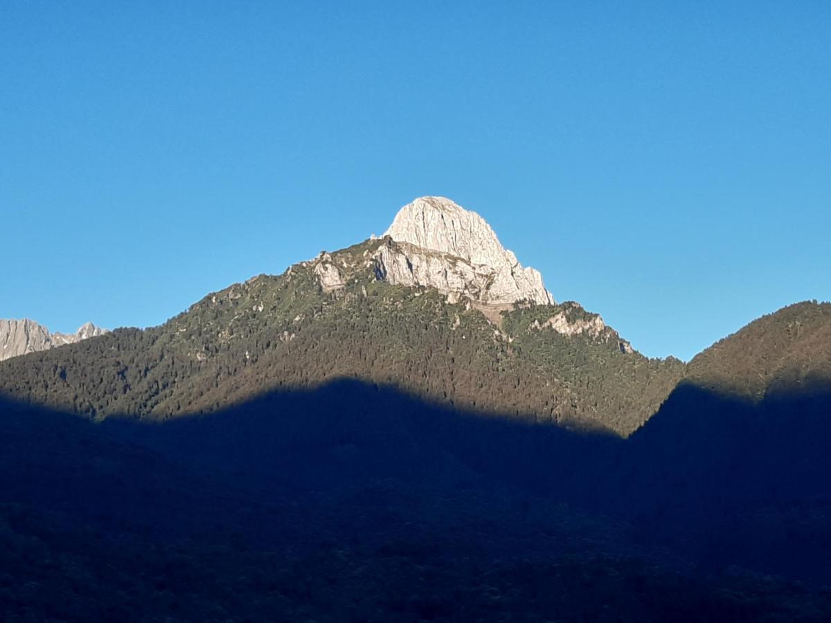 Capo di Ponte Azienda Agricola Agriturismo I Sei Petali מראה חיצוני תמונה