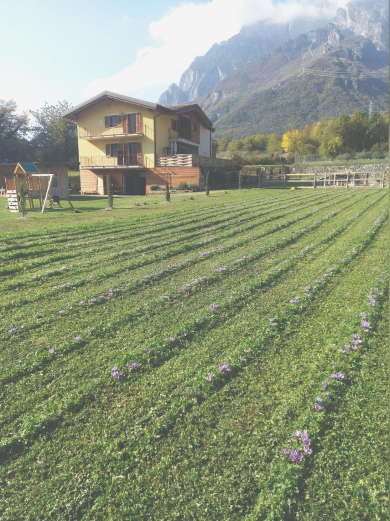 Capo di Ponte Azienda Agricola Agriturismo I Sei Petali מראה חיצוני תמונה
